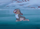 IMG_3734.gif