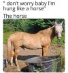 IMG_1654.jpeg