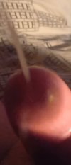 20230731_204557_exported_32364~5.jpg
