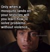 FB_IMG_1692905494268.jpg