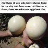 FB_IMG_1693053187373.jpg