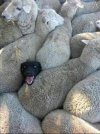 IMG_1674.jpeg