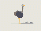 D41DE709-790F-4AE6-9436-696CAD5A4EA0.gif