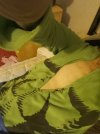IMG_20230901_111402_409.jpg
