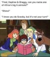 IMG_9321.jpeg