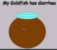 IMG_1709.jpeg