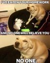 IMG_1718.jpeg