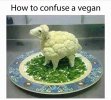 FB_IMG_1694717246367.jpg