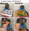IMG_1745.jpeg