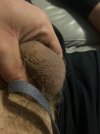 IMG_7821.jpeg