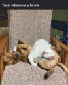 IMG_1790.jpeg