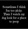 IMG_2688.jpeg