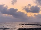 IMG_5285.jpeg