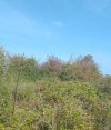 IMG_20231007_122303_547~2.jpg