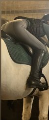 IMG_7284.jpeg