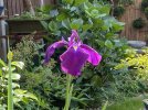 IMG_3594.jpeg