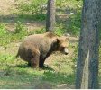 IMG_1917.jpeg