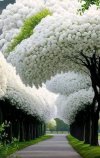 IMG_1904.jpeg