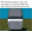 IMG_1924.jpeg IMG_1924.jpeg