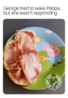 IMG_1933.jpeg
