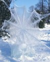 IMG_1973.jpeg