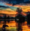 IMG_1982.jpeg