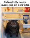 IMG_2017.jpeg