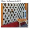 IMG_2041.jpeg