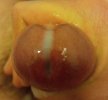 IMG_20231116_093247_657~2.jpg