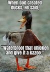 IMG_2096.jpeg