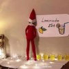IMG_2113.jpeg