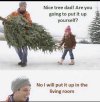 IMG_2169.jpeg