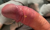 IMG_5866.jpeg