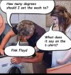 IMG_2200.jpeg