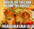 IMG_2214.jpeg