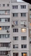 IMG_2227.jpeg