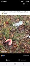 IMG_2208.jpeg