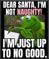 IMG_2250.jpeg