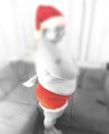 IMG_0603.jpeg