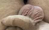 IMG_9773.jpeg