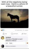 IMG_2124.jpeg