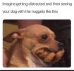 IMG_2122.jpeg