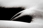 hail-to-the-v-erotic-art.jpg