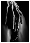 692273-artistic-closeup-shot.jpg
