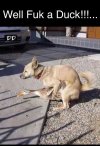 IMG_0716.jpeg