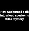 IMG_2346.jpeg
