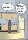 IMG_2365.jpeg