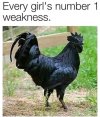 IMG_2373.jpeg