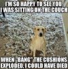 IMG_0193.jpeg