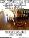IMG_2403.jpeg